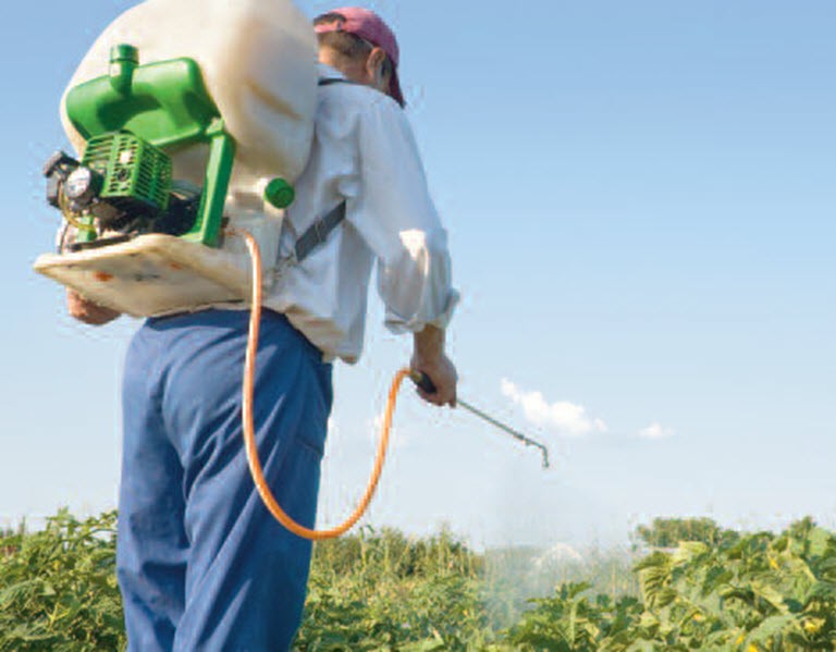 Analysis of Chlorinated Pesticides by GC/MS
