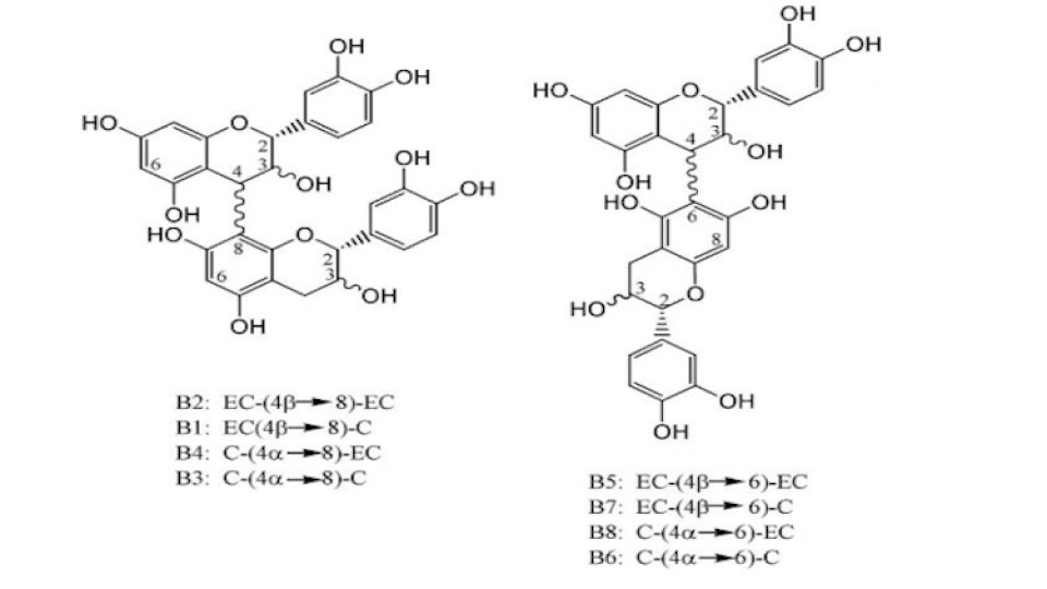 Determination of AType and BType Procyanidins