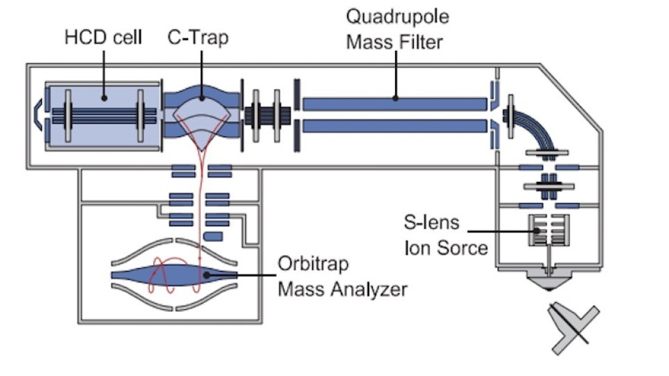 HighResolution, AccurateMass Forensic Toxicology Screening in Blood