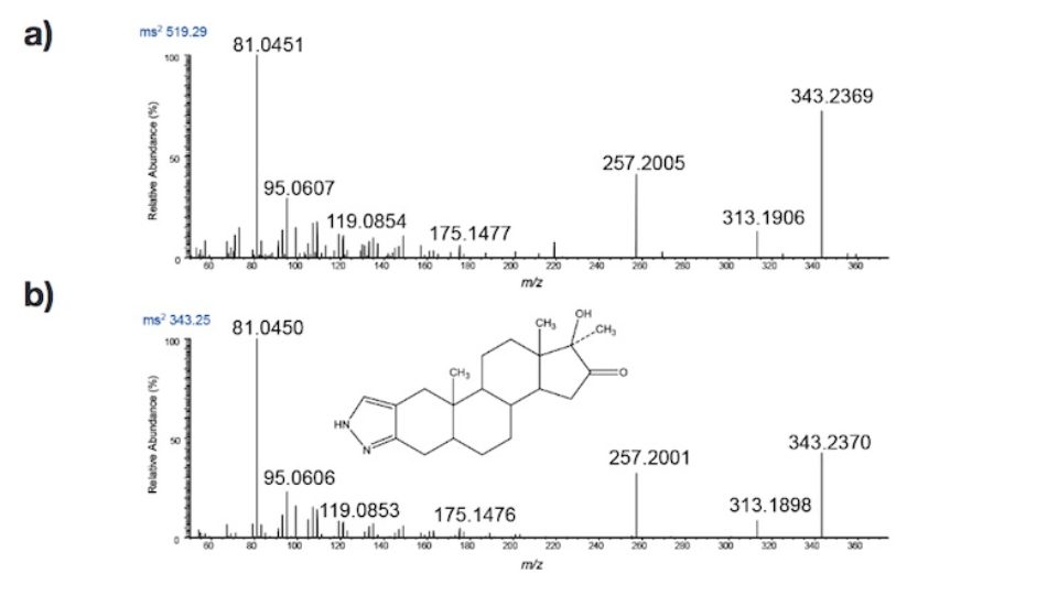 Detection of Stanozolol Glucuronides in Human Sports Drug Testing by