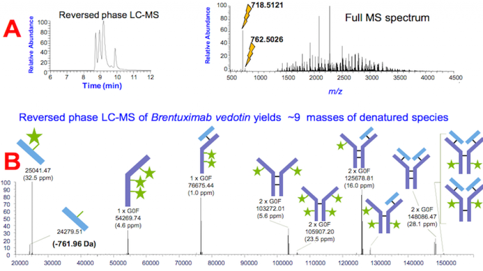 High Resolution Mass Spectrometry of Antibody Drug Conjugates Using the