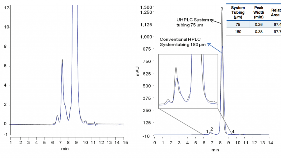 Optimizing Protein Aggregate Analysis by Size Exclusion Chromatography