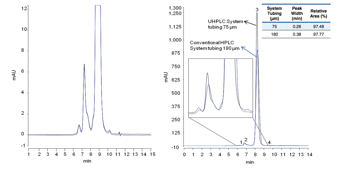 Optimizing Protein Aggregate Analysis by Size Exclusion Chromatography