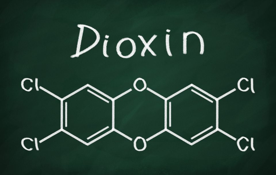 All You Ever Wanted to Know About Dioxin Analysis but Were Afraid to Ask