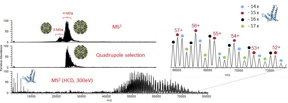 mass-spectrometry-2