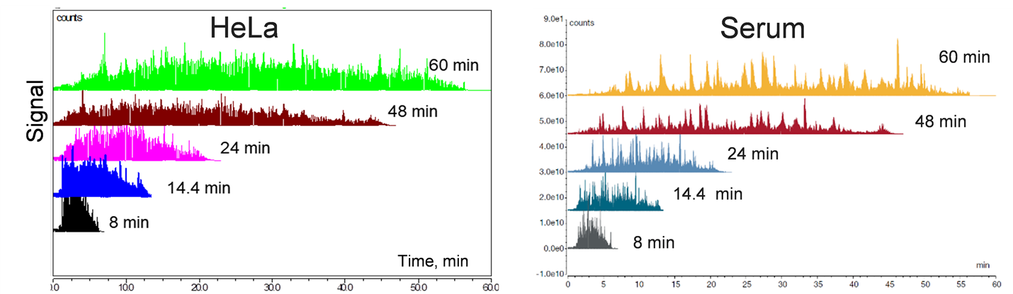 Figure 1. Typical TIC profiles of HeLa protein digest and crude serum protein digest with 8, 14.4, 24, 48, and 60 min standardize methods. TN-73208: Tailored high-throughput low-flow LC-MS methods for large sample cohort analysis.