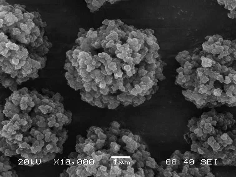 Resin particles in the Dionex IonPac column AS11-HC, as seen through a scanning electron microscope.