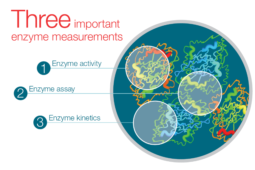 Enzyme Assay Analysis What Are My Method Choices?